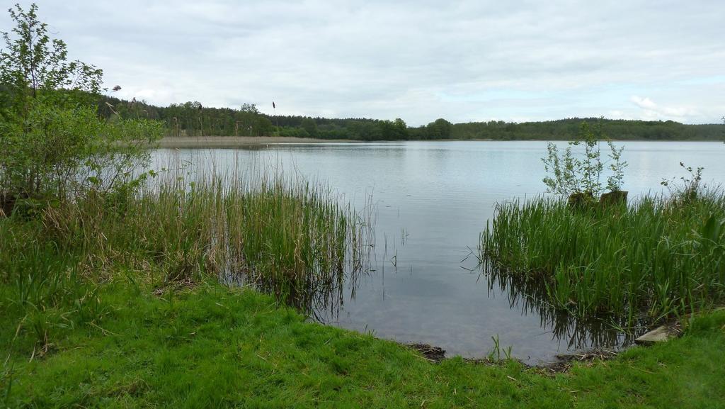 Bungalow Am Kuestrinsee Bei 뤼헨 외부 사진