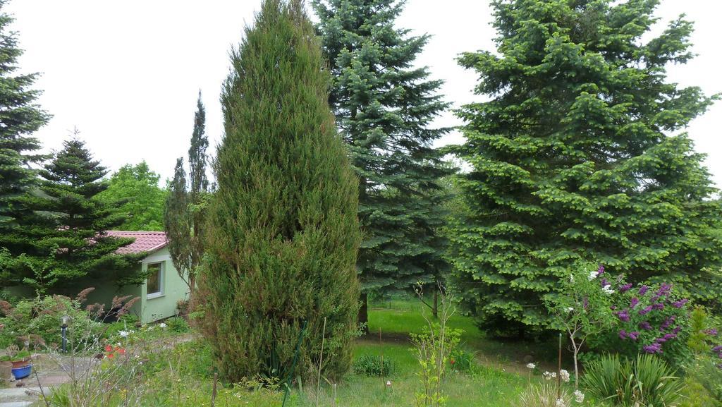 Bungalow Am Kuestrinsee Bei 뤼헨 외부 사진
