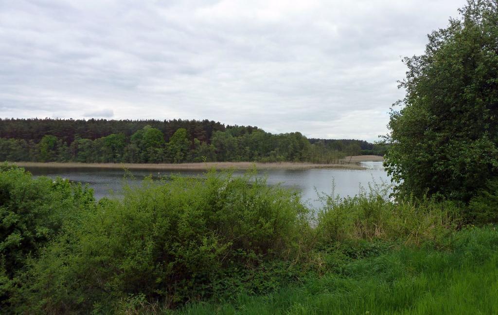 Bungalow Am Kuestrinsee Bei 뤼헨 외부 사진